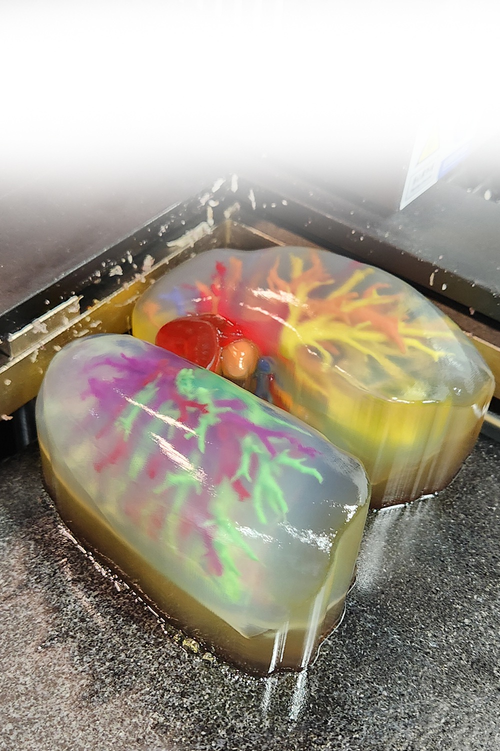 （3）果冻型碱溶性载体