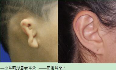 1678235792159007.jpg 未标题-1.jpg